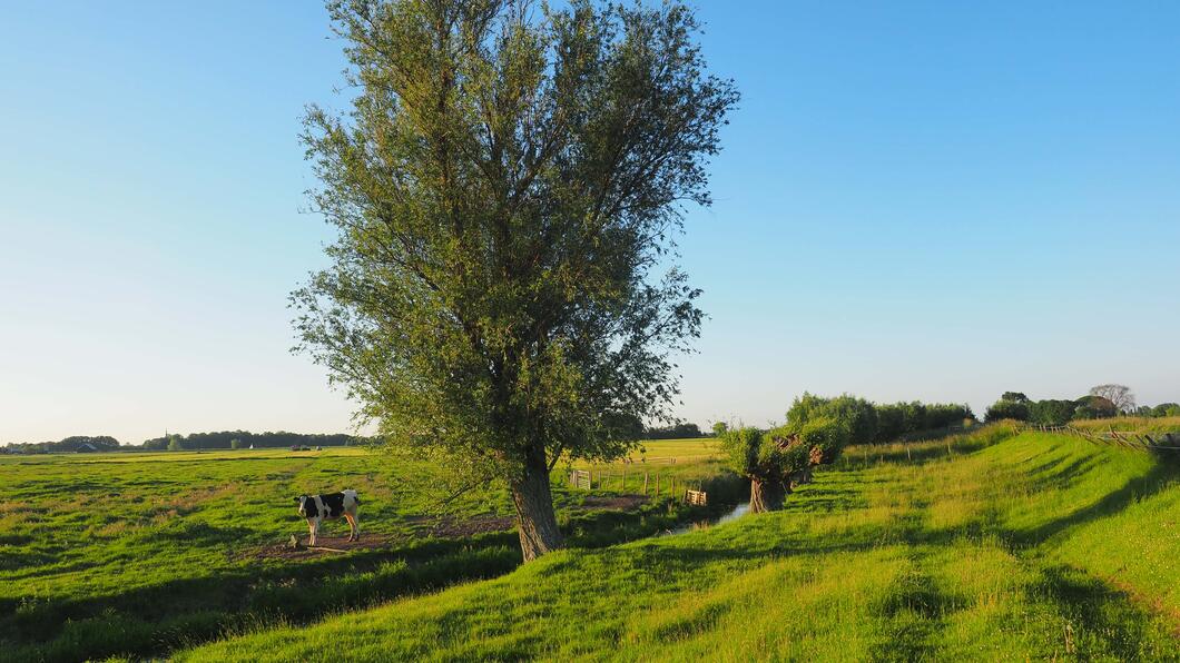 Oppositie roept op tot meer zorgvuldigheid bij bouwen in de Hoeksche Waard