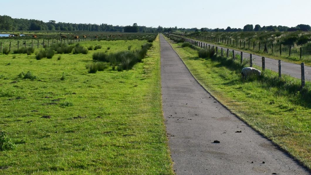 Verkeer.jpg