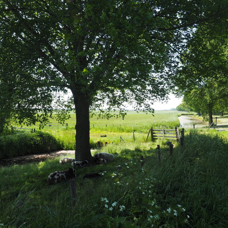 Oudeland