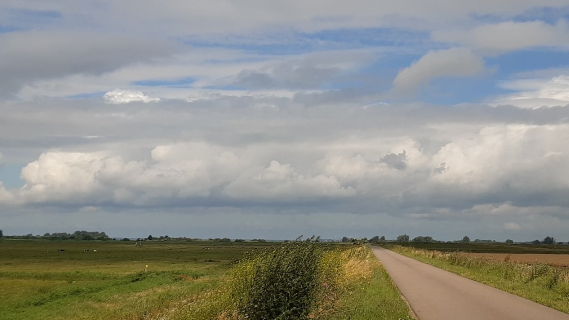 Foto Leenheerenpolder