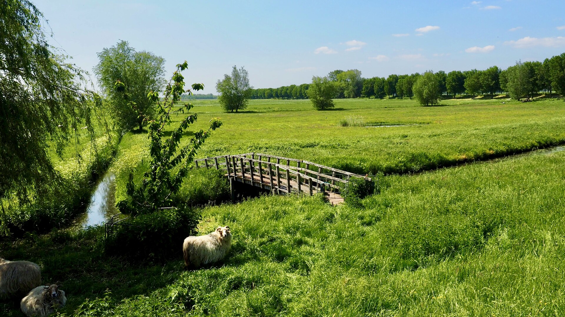 Het Oudeland van Strijen