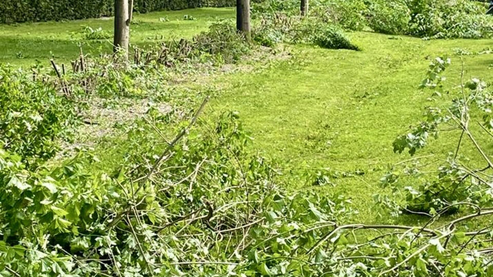 Wethouder Van Waveren ontving 27 september van Constructief Hoeksche Waard en GroenLinks een zwartboek vol klachten van inwoners over natuuronvriendelijk gemeentelijk groenonderhoud.