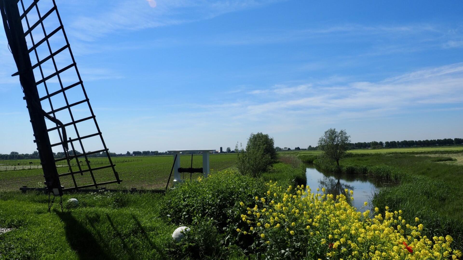 Foto Zwartboek