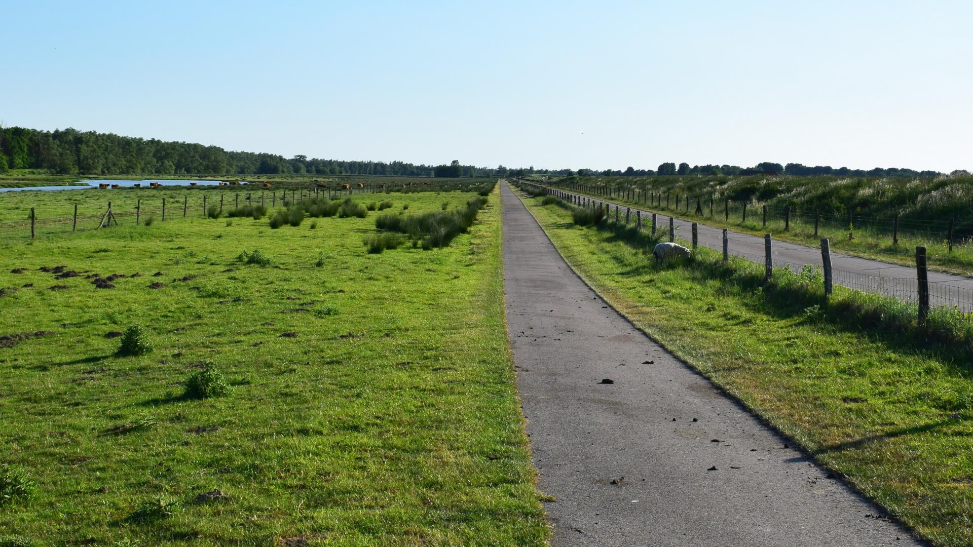 Landweg.jpg